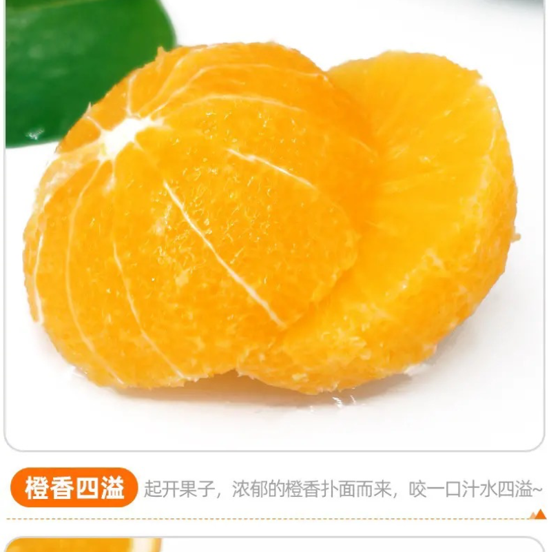 奉节脐橙72-1品牌65以上通货