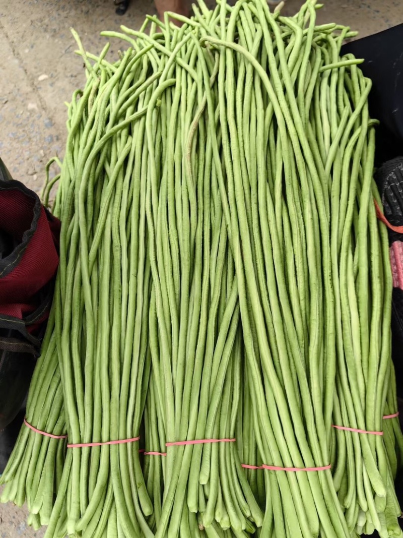 长豆角河南豆角顺长条批发电商加工厂一手货源