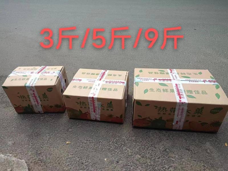 哈密瓜脆甜可口西州蜜一件也是批发价