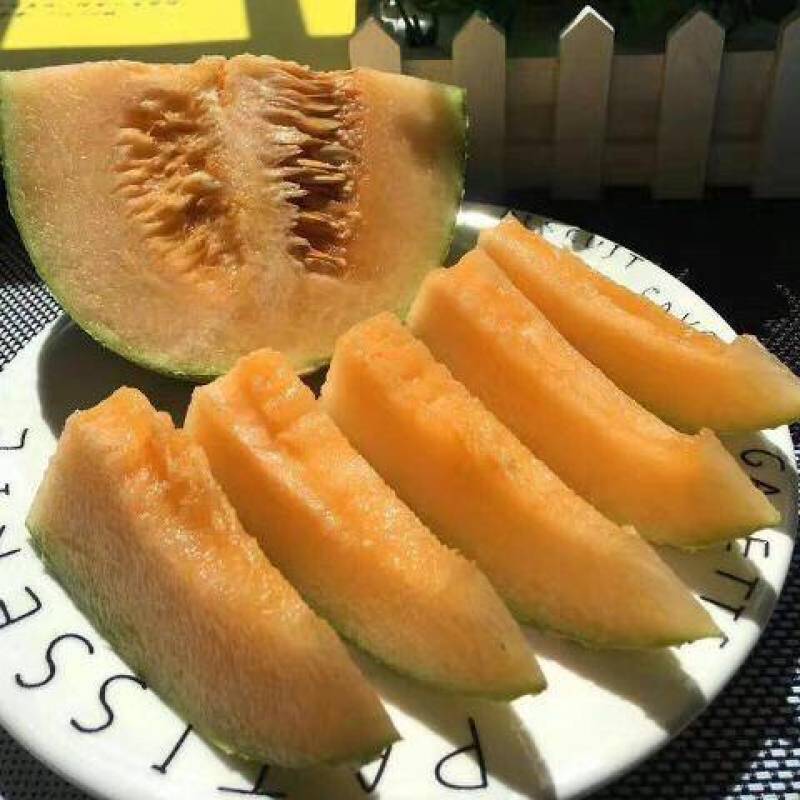 哈密瓜脆甜可口西州蜜一件也是批发价