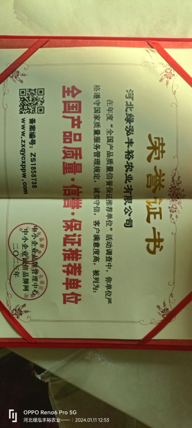 商薯苗，烟薯苗，西瓜红，白哈密，紫薯苗，济26，济33苗