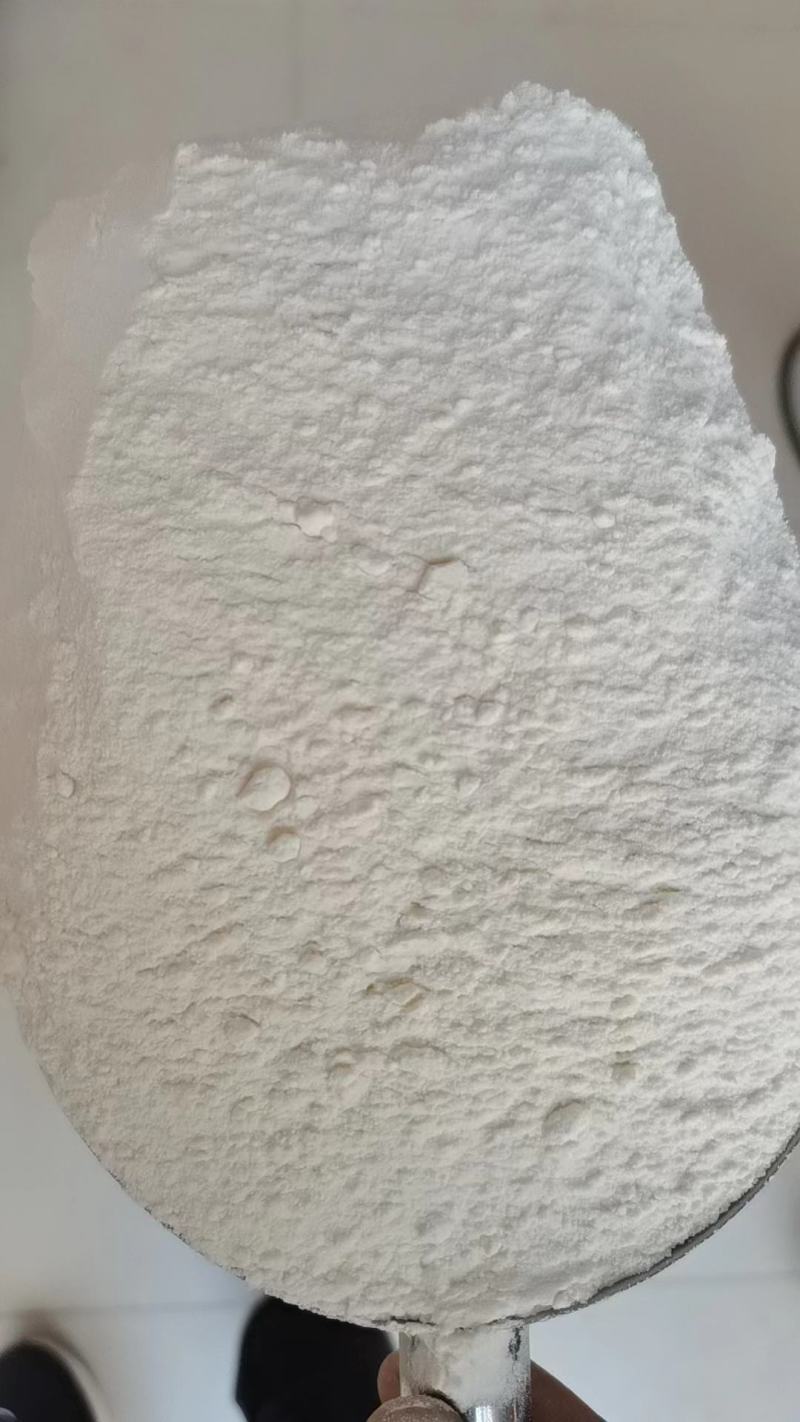 精品高筋小麦面粉适用于馒头花卷面条等面食欢迎联系