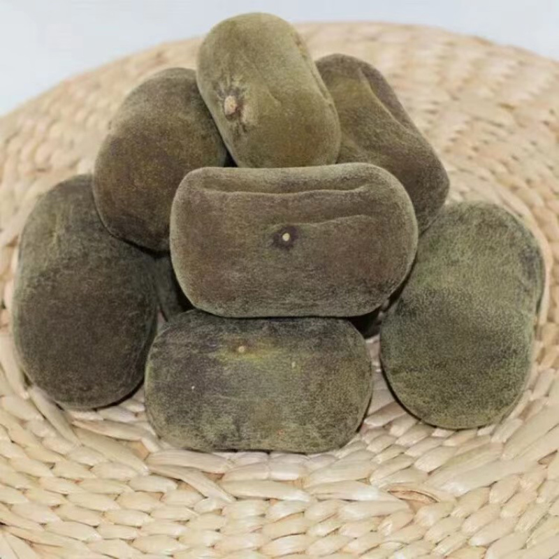 化州橘红苗品种柚子苗中药材水果树苗木种植基地带土带叶