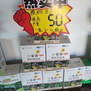 授粉逮妞控旺