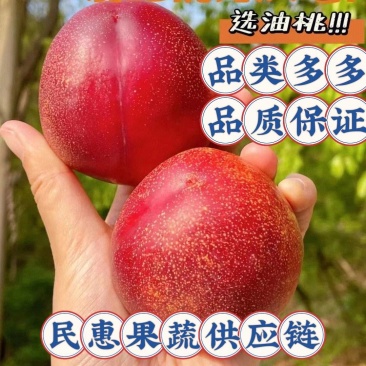 湖北露天油桃品种多货源充足支持各地整车代收代发品质保证