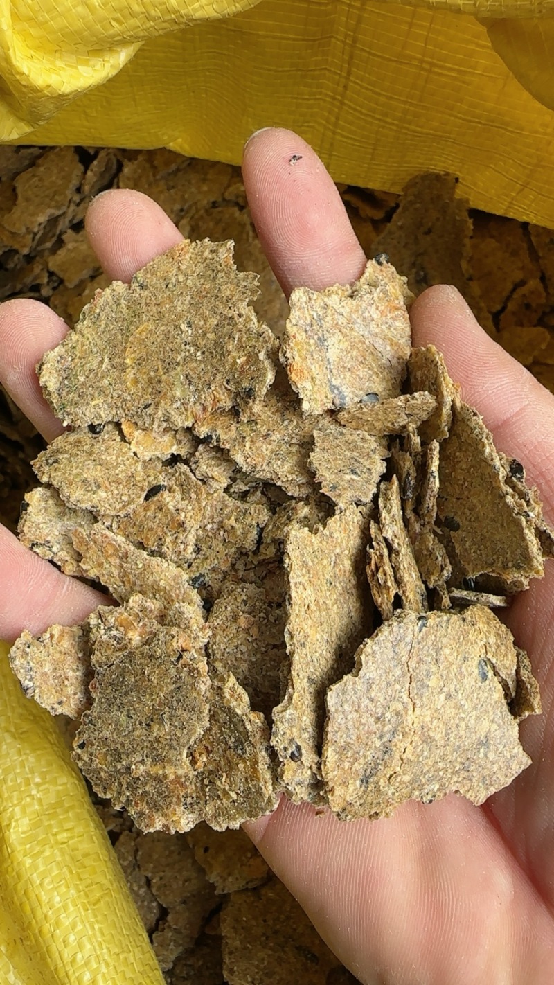 【全脂豆饼】大量出售豆饼厂家直销质量产量价格稳定