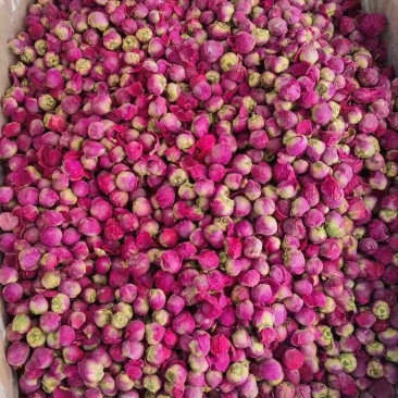 牡丹球花茶牡丹球保庆药业批发芍药花芍药球