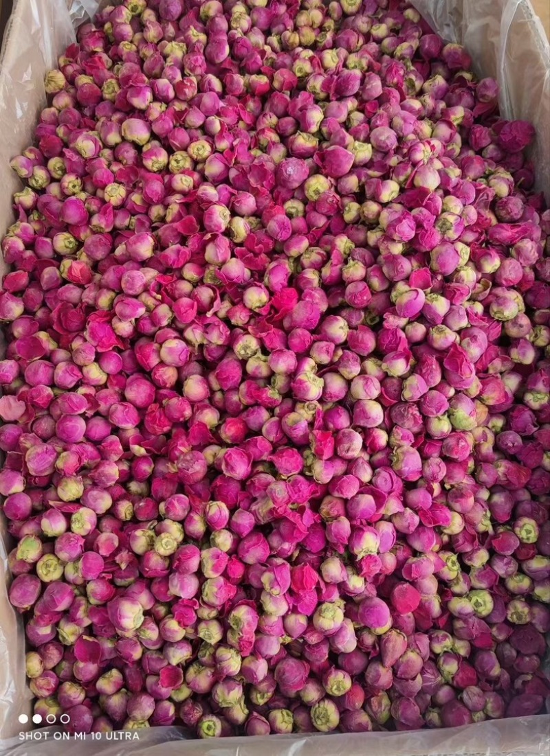 牡丹球花茶牡丹球保庆药业批发芍药花芍药球