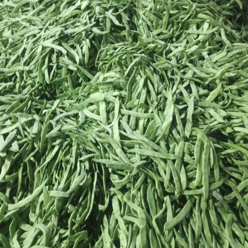 大扁豆大量上市产地一手货源，冻库2000吨储存量