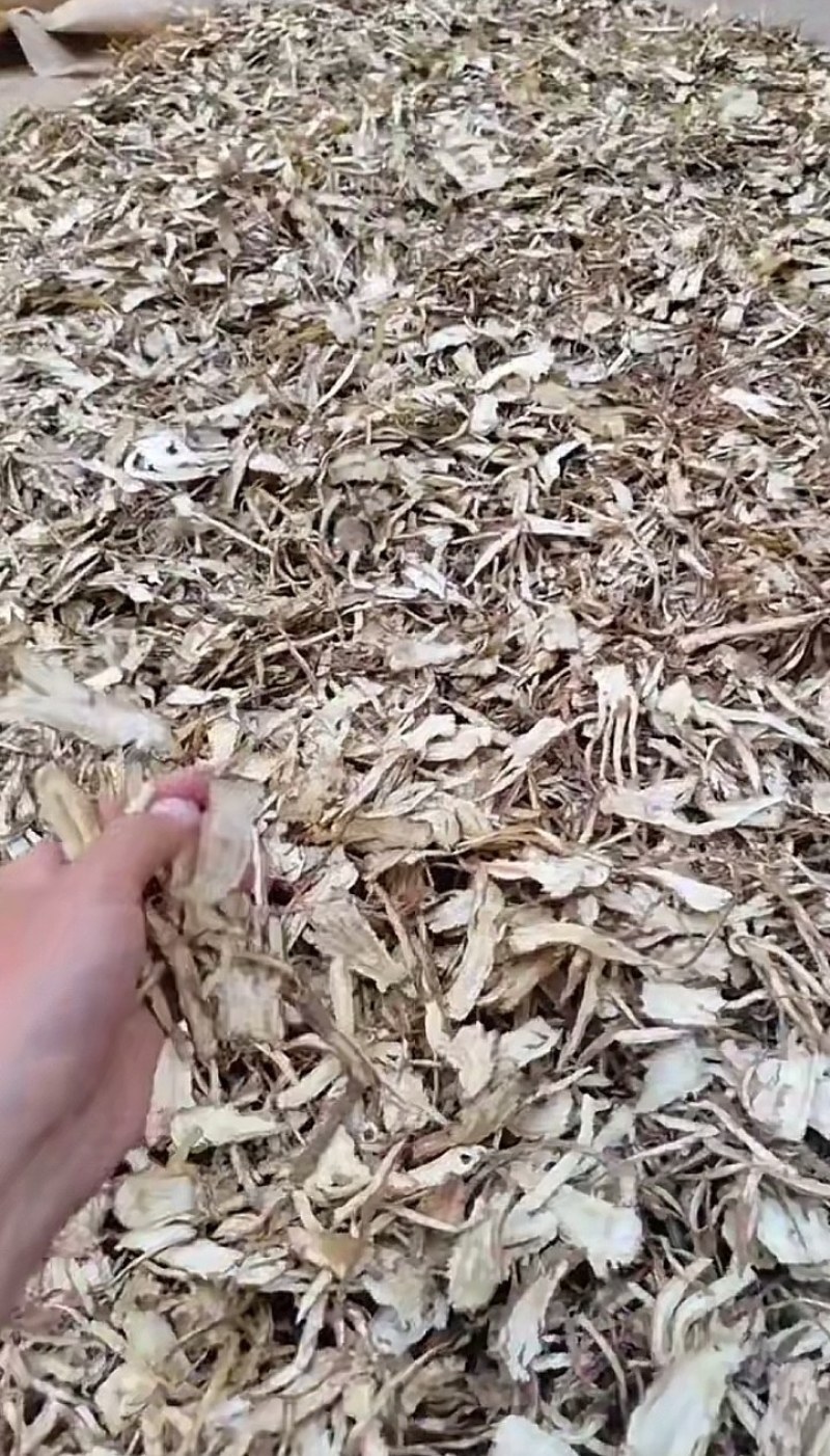 甘肃精品党归，大量有货，需要的老板提前联系
