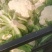 河南菜花，松花菜，规模种植。视频看货，线上保障交易。