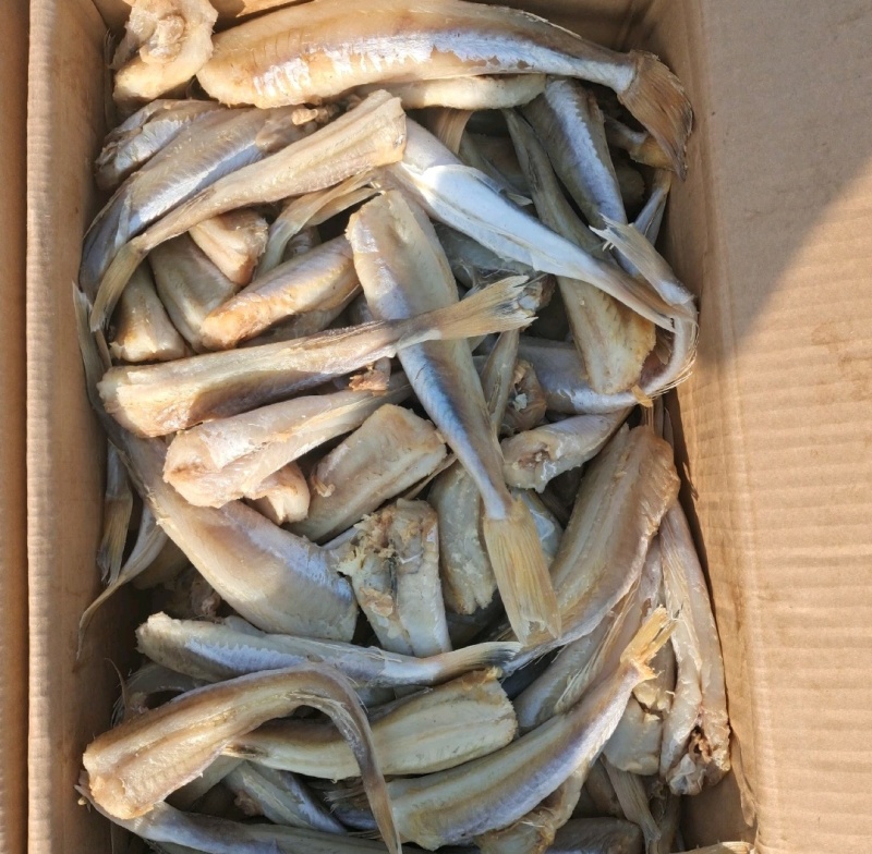 红娘鱼干红头鱼干去头去皮去内脏煎炸蒸炖均可全国发货