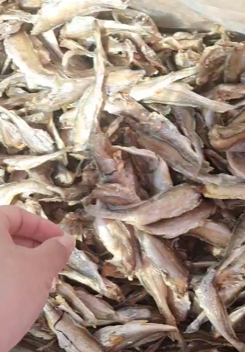 酥鱼海味香酥小黄鱼休闲小零食下酒菜都可以一手货源