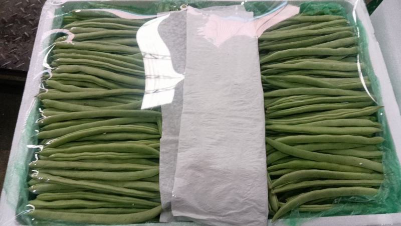 豆角扁豆角