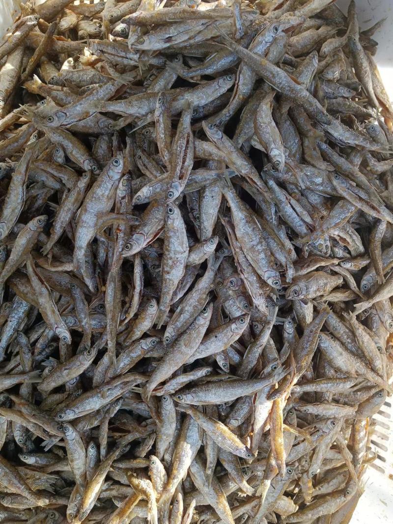 油炸鱼，鱼干/炸鱼干，香脆酥小鱼干，小吃干货，欢迎下单