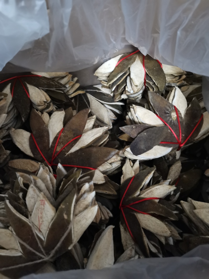 正品直销批发原产地化州橘红爪片一扎10片化橘红
