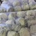 陕西甘蓝大量现货，可全国发货，量大从优，欢迎采购