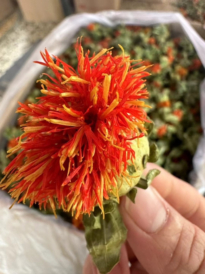 云南红花果，产地直销价，大量现货，欢迎咨询，订购，