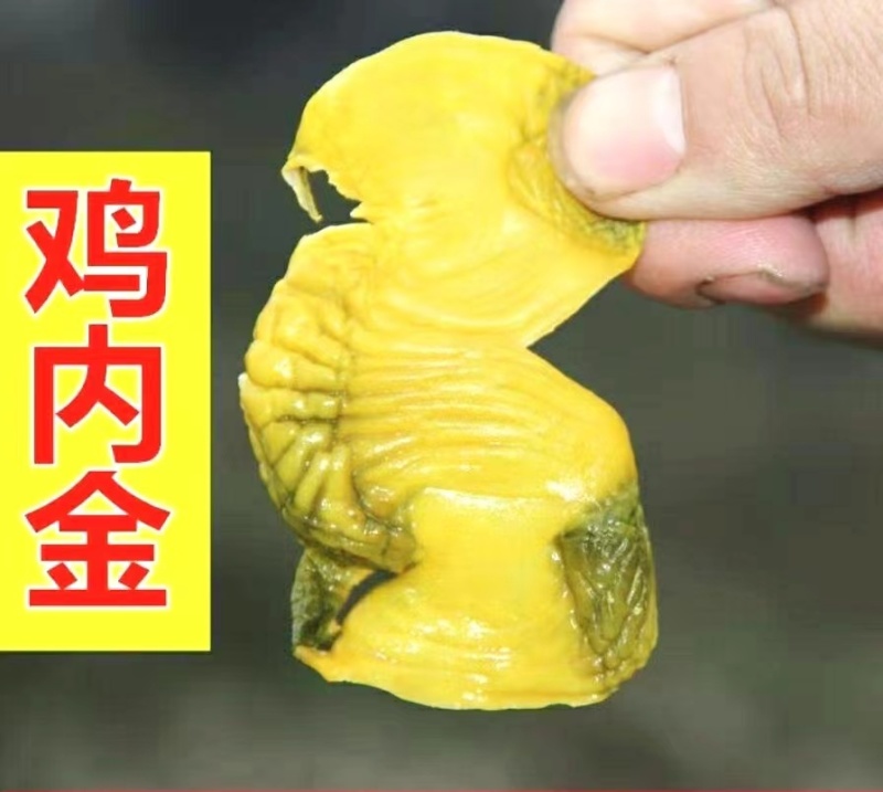 鸡内金鸡内金干片免费磨粉粉干净无杂保质保量包邮