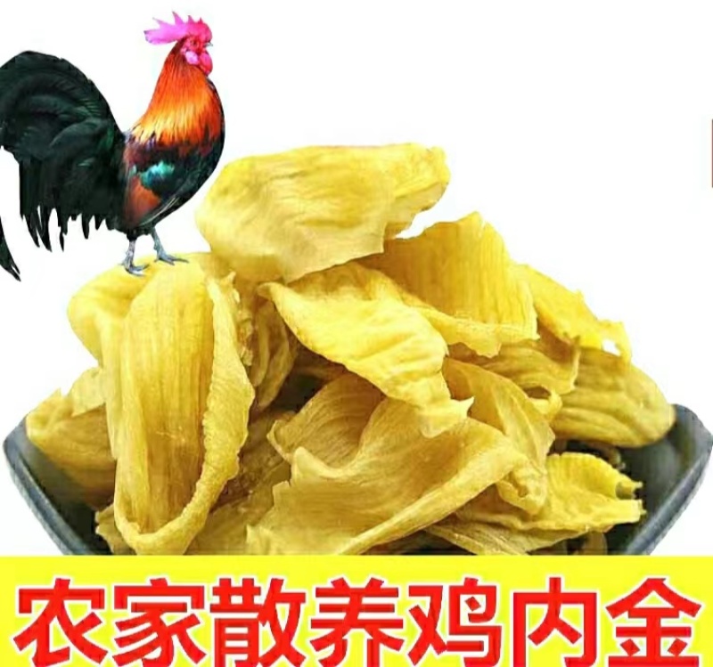 鸡内金鸡内金干片免费磨粉粉干净无杂保质保量包邮