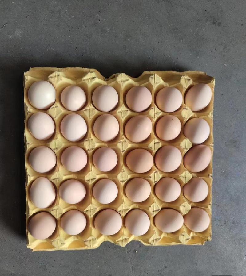 精品鸡蛋土鸡蛋粉蛋红蛋白蛋初生蛋一手货源厂家直发