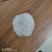 黄河口生态米/优质弱碱米/自产自销/6万亩种植区，粳米