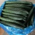 河南夏邑精品蜜刺黄瓜顶花带刺，价格不高，卢可全国代发代办