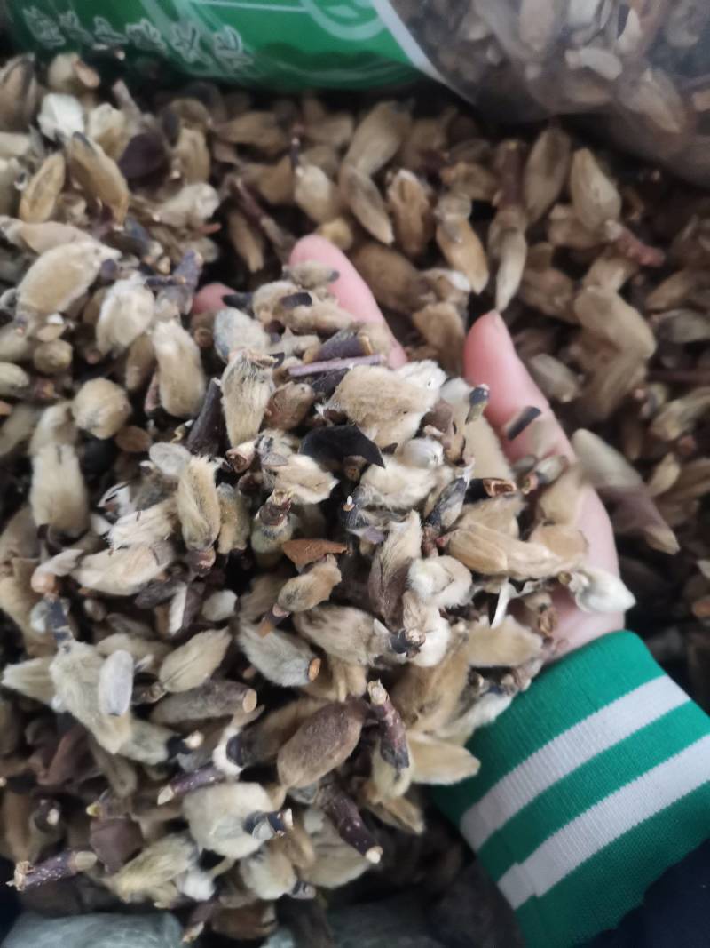 辛夷花中药材新货新鲜木兰花特级紫木笔花玉兰花可磨粉