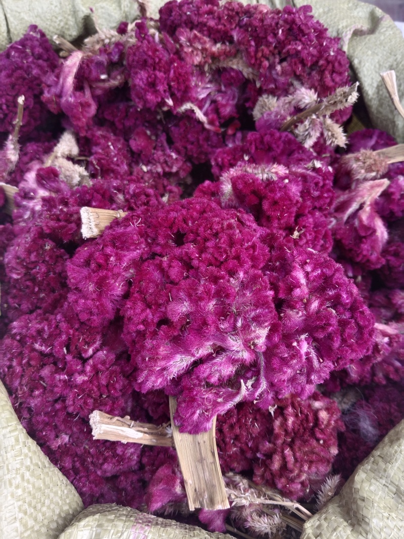 鸡冠花，药用鸡冠花干货，无硫，现货24小时内发货
