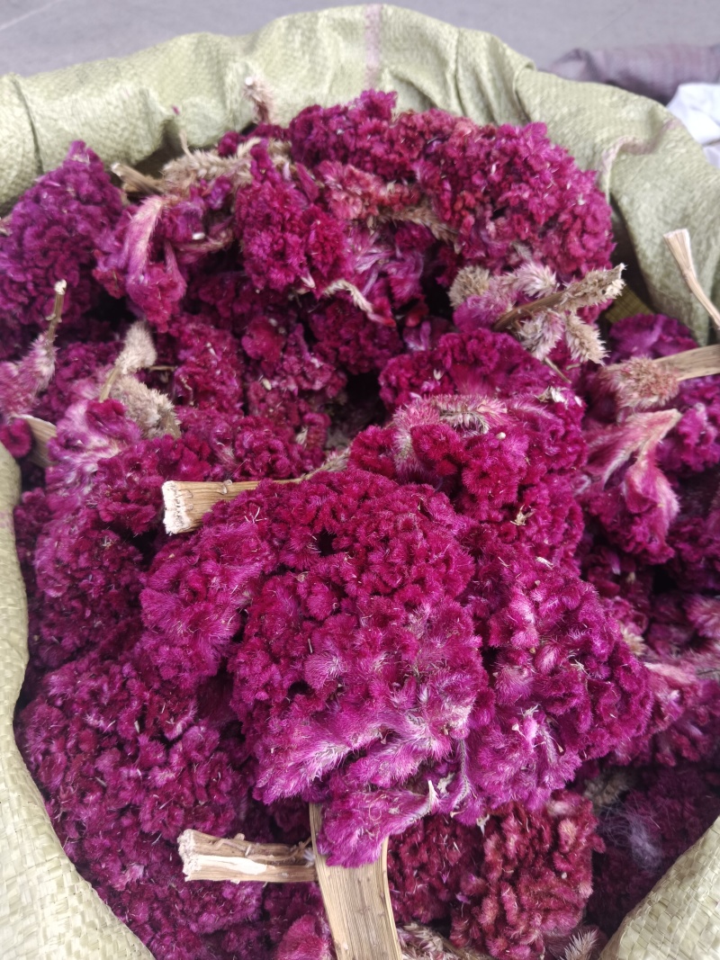 鸡冠花，药用鸡冠花干货，无硫，现货24小时内发货