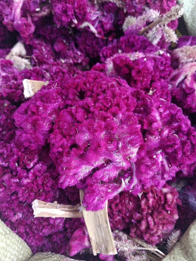 鸡冠花，药用鸡冠花干货，无硫，现货24小时内发货