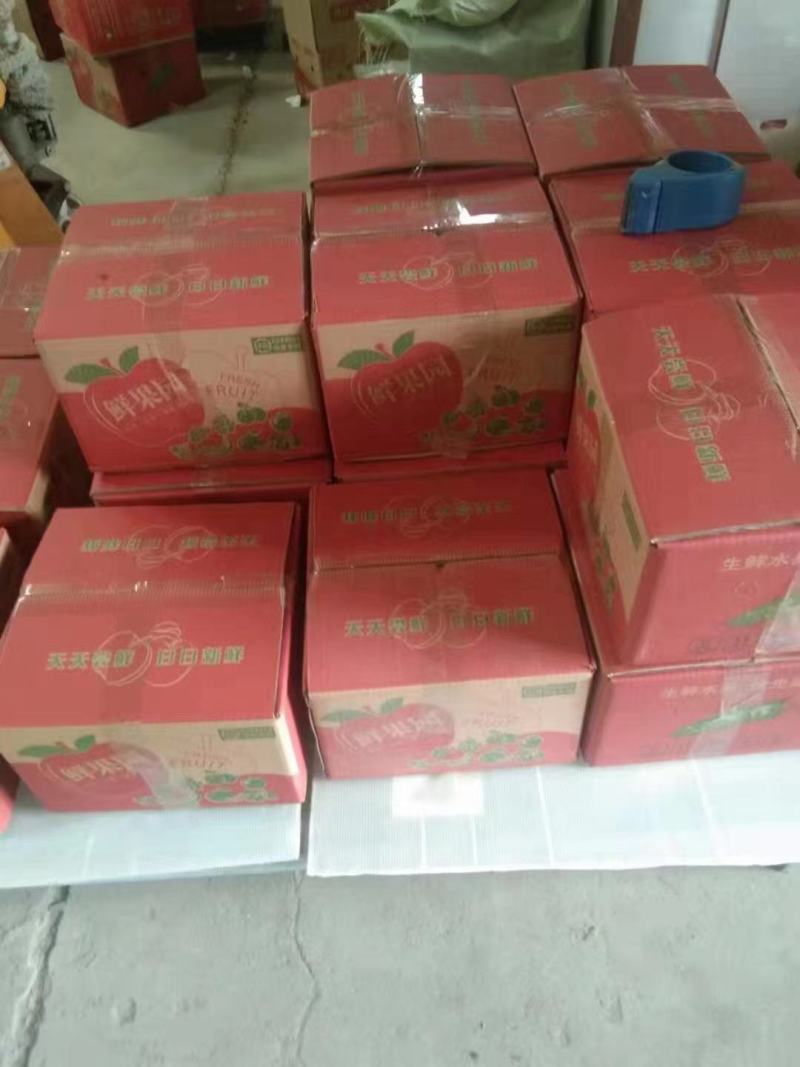 陕西蒲城酥梨，贡梨