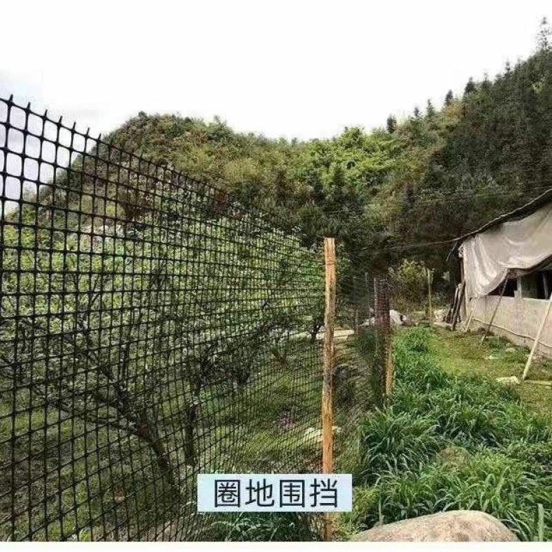 养殖圈地围栏网拦鸡鸭鹅围栏网鱼塘防护网隔离网塑料围栏网