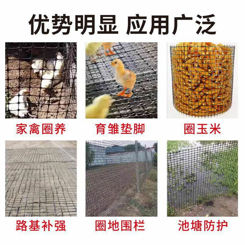 养殖圈地围栏网拦鸡鸭鹅围栏网鱼塘防护网隔离网塑料围栏网