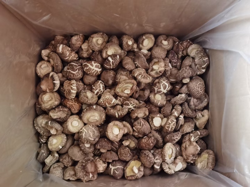 茶花菇干香菇花菇肉厚冬菇基地直销包邮