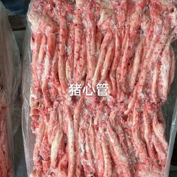猪心管