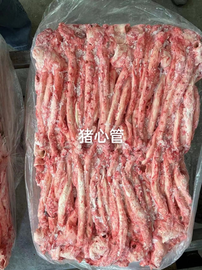 猪心管