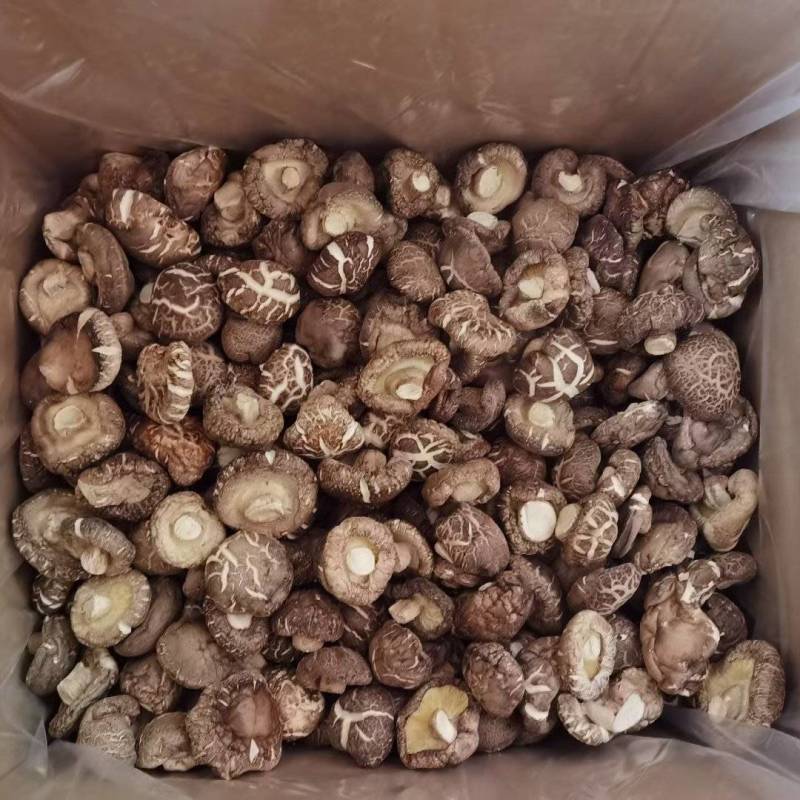 茶花菇干香菇花菇肉厚冬菇基地直销包邮