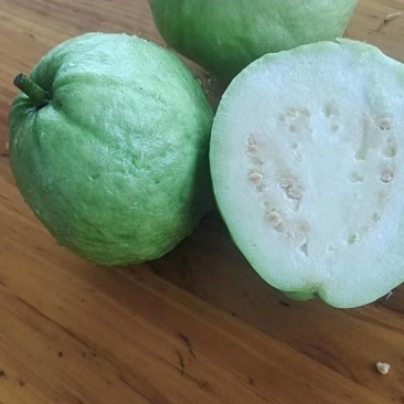 珍珠芭乐白心，胭脂红石榴，现在已大量上市，欢迎来电洽谈合
