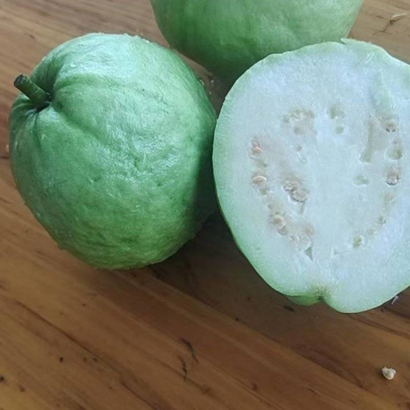 珍珠芭乐白心，胭脂红石榴，现在已大量上市，欢迎来电洽谈合