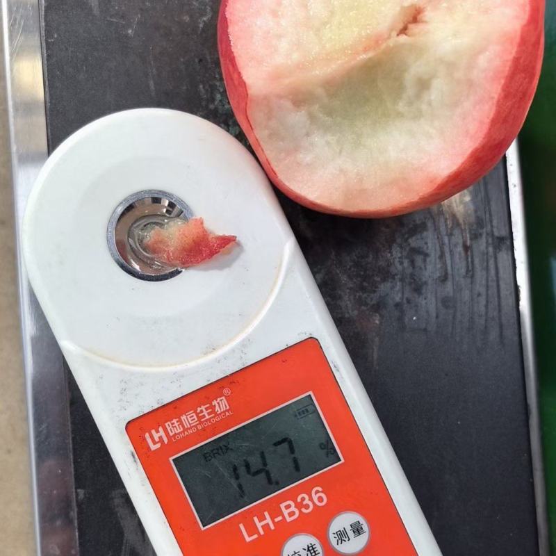 水密桃落价了需要货的老板电话联系吧果行好硬度高皮毛亮超甜