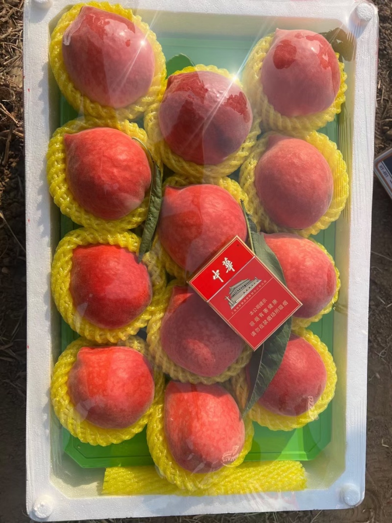 水密桃落价了需要货的老板电话联系吧果行好硬度高皮毛亮超甜