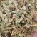 紫花地丁新货紫花地丁批发零售各种中药材