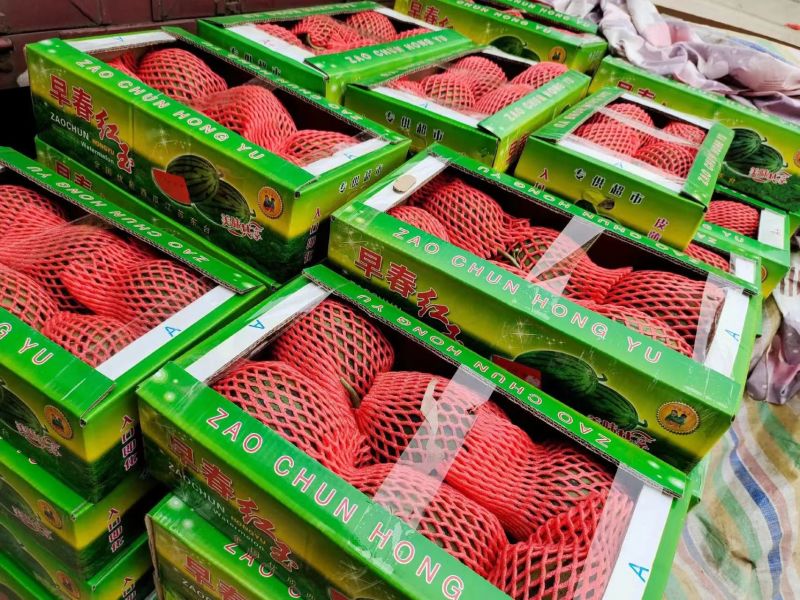 精品早春红玉，全美2k西瓜小糖丸西瓜，保证质量，要联系