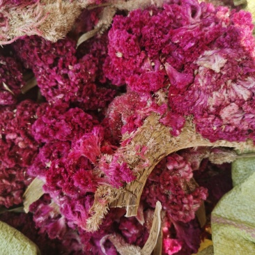 鸡冠花如图鸡冠花批发零售各种规格中药材
