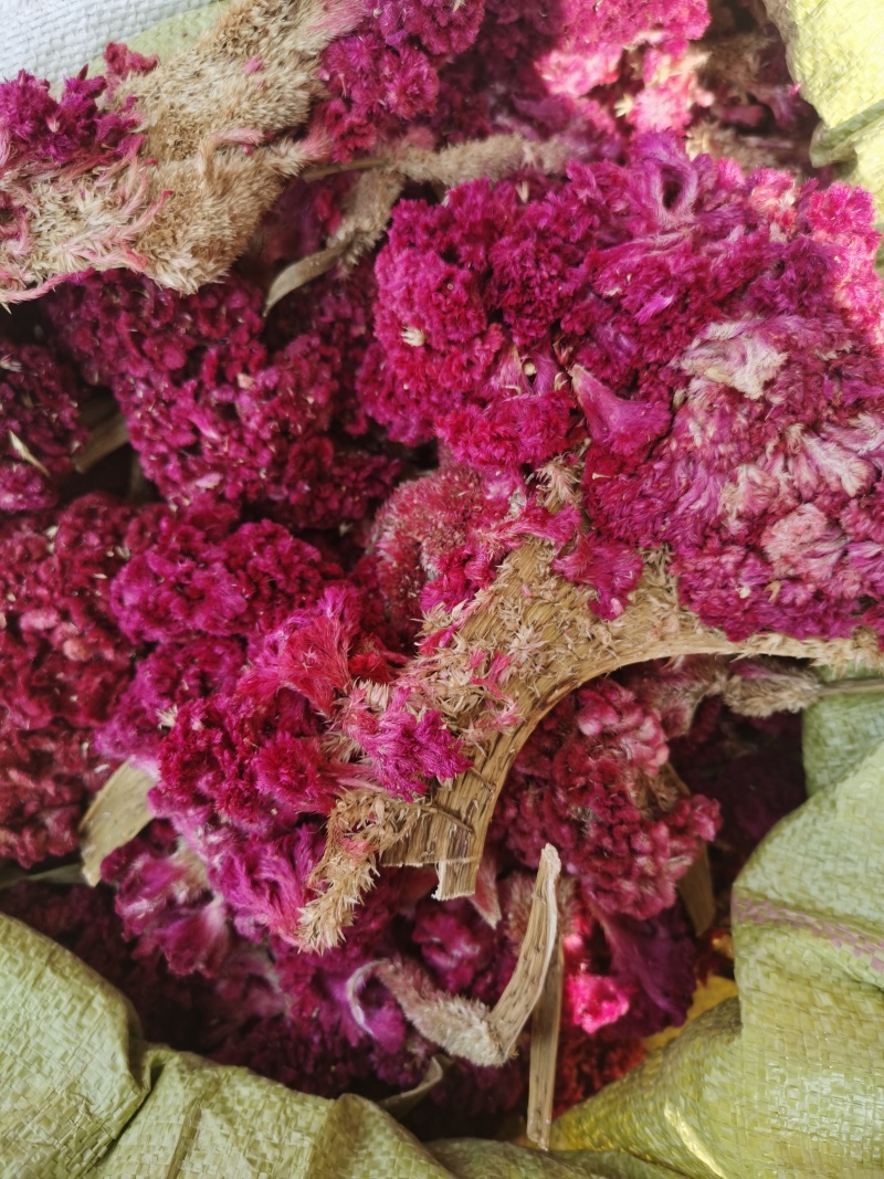 鸡冠花如图鸡冠花批发零售各种规格中药材