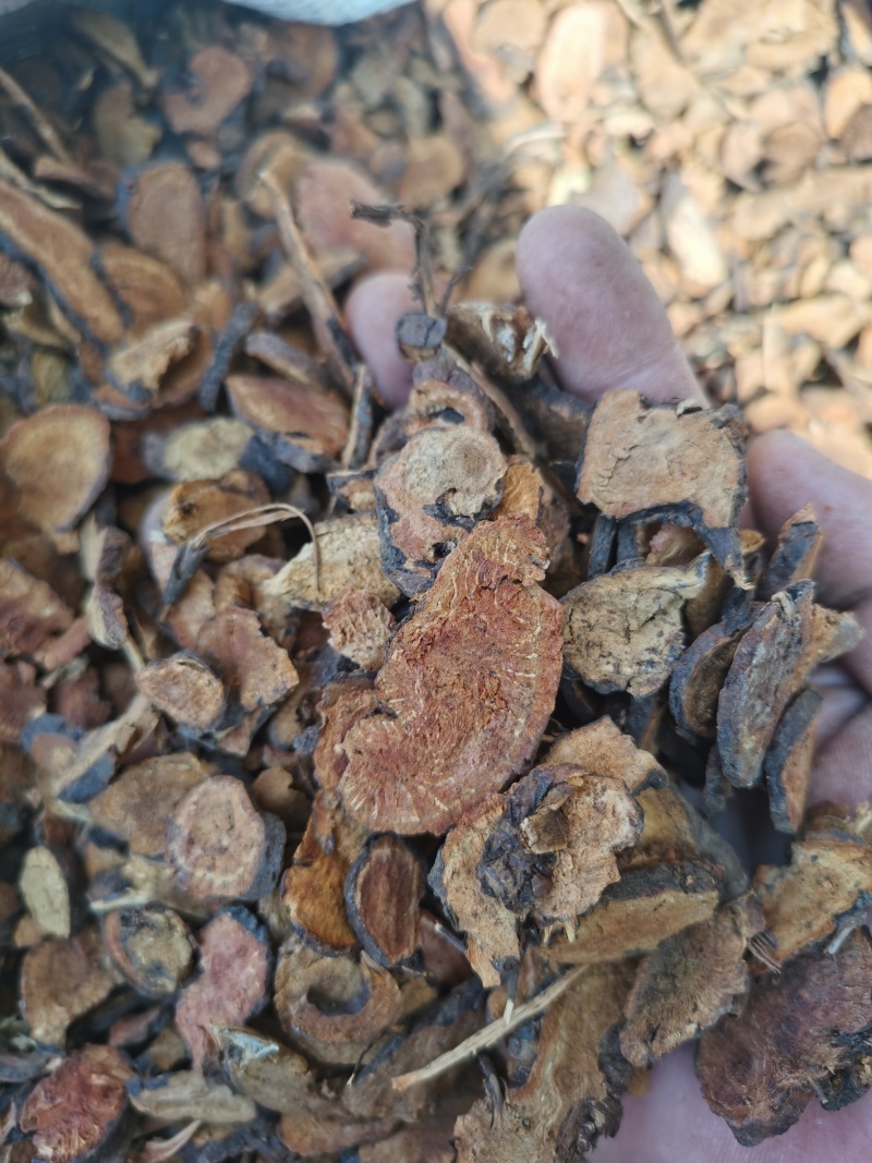 地榆过4号筛好统货地榆批发零售各种规格中药材