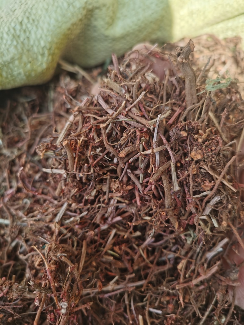 茜草红茜草净货野红茜草批发零售各种规格中药材