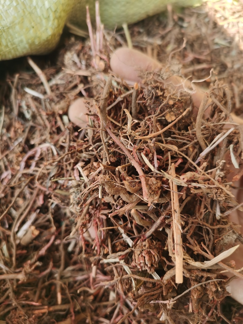 茜草红茜草净货野红茜草批发零售各种规格中药材