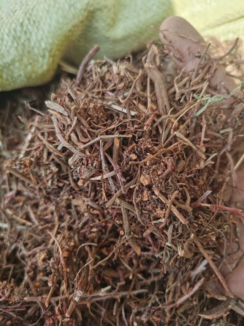 茜草红茜草净货野红茜草批发零售各种规格中药材